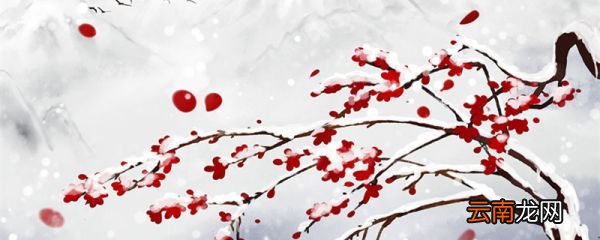山园小梅翻译和赏析山园小梅的译文