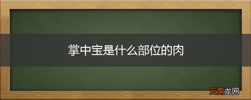 掌中宝是什么部位的肉