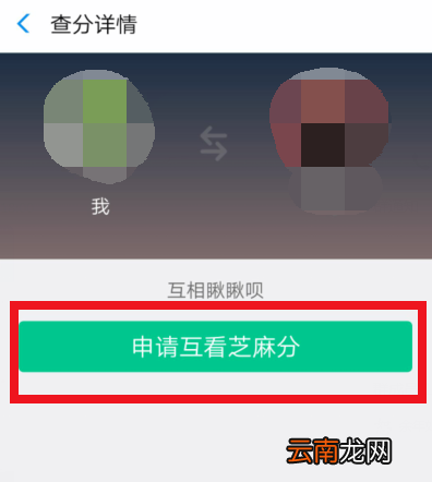 支付宝怎么查好友芝麻分？查好友芝麻分操作步骤一览
