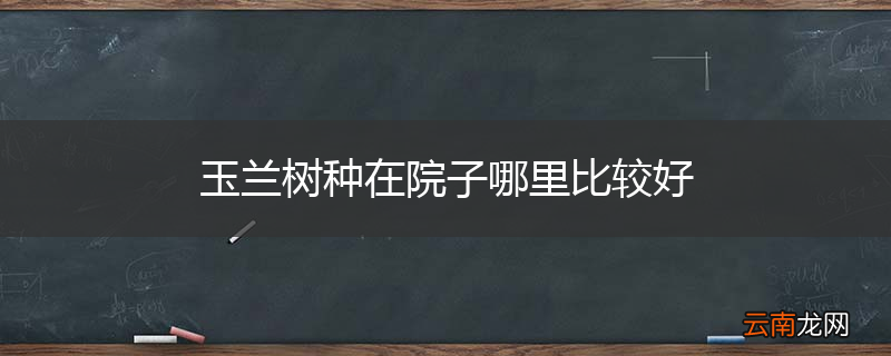 玉兰树种在院子哪里比较好