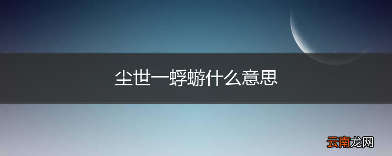 尘世一蜉蝣什么意思