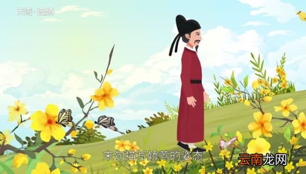 江畔独步寻花的意思 江畔独步寻花是什么意思