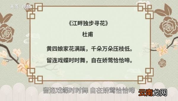 江畔独步寻花的意思 江畔独步寻花是什么意思