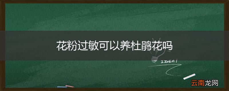 花粉过敏可以养杜鹃花吗