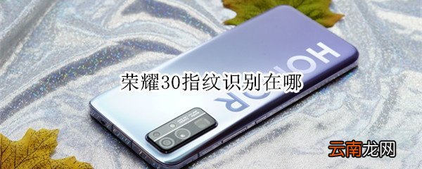 荣耀30指纹识别在哪