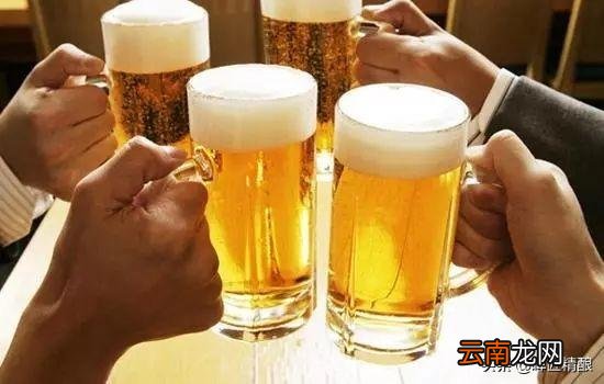 黑啤白啤黄啤哪种啤酒最好喝更健康