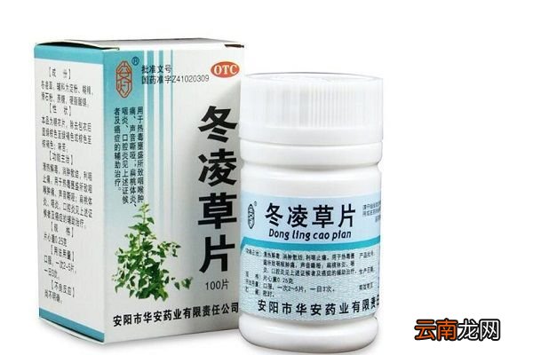 冬麦草片的功效与作用 冬麦草片主要有什么功效