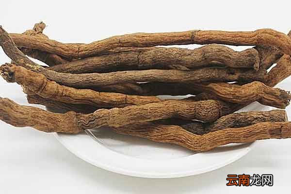 胡椒根的功效与作用胡椒根的禁忌人群