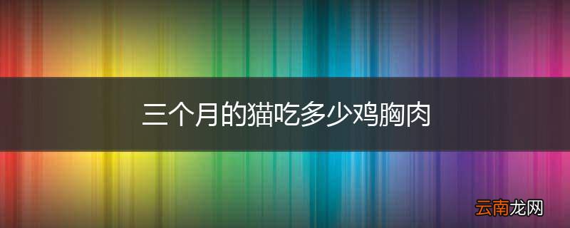 三个月的猫吃多少鸡胸肉