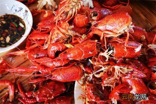 虾壳是什么垃圾 小龙虾壳是干垃圾还是湿垃圾