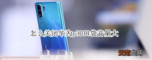 怎么关闭华为p30口袋音量大