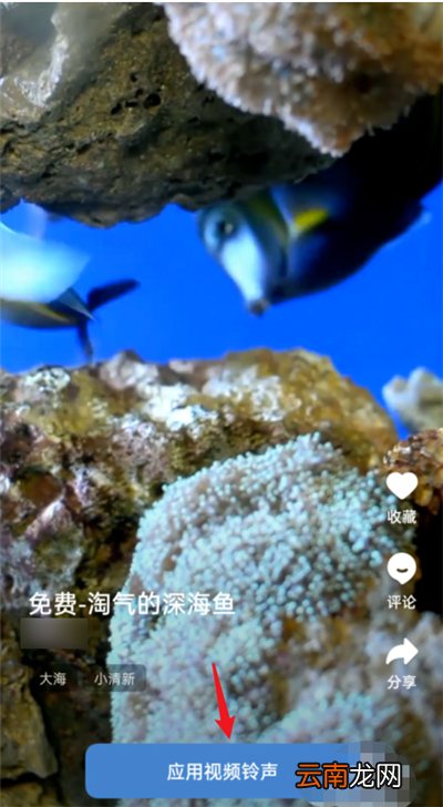opporeno3怎么设置视频铃声