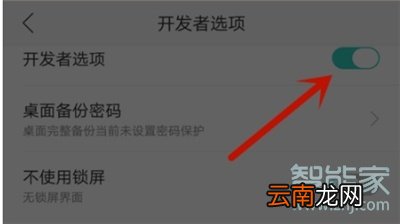oppok3开发者选项在哪