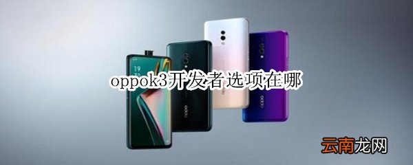 oppok3开发者选项在哪
