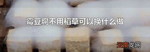 霉豆腐不用稻草可以换什么做