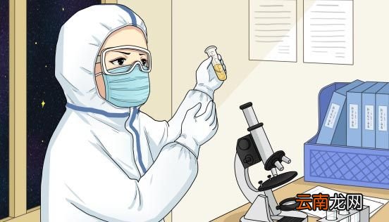 为什么用豌豆做遗传实验容易取得成功 为啥用豌豆做遗传实验容易取得成功