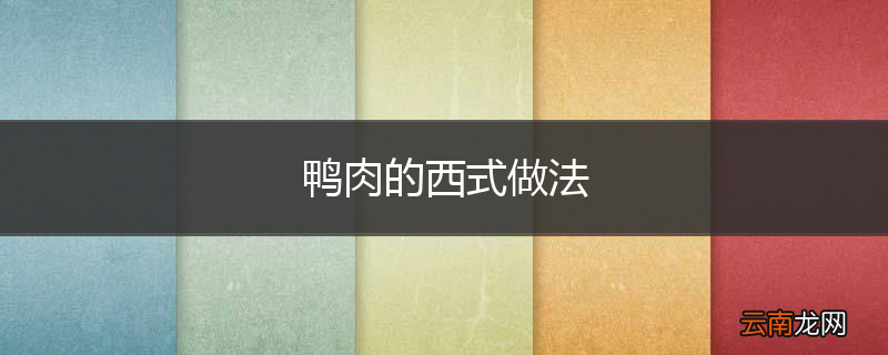 鸭肉的西式做法