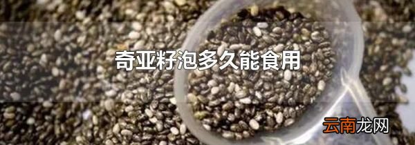 奇亚籽泡多久能食用