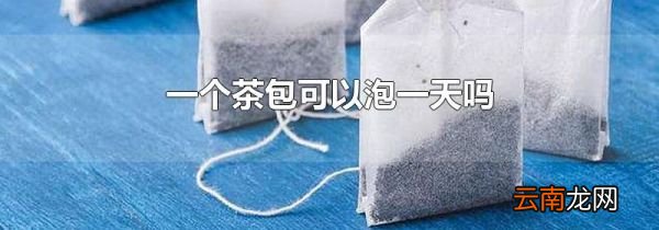 一个茶包可以泡一天吗