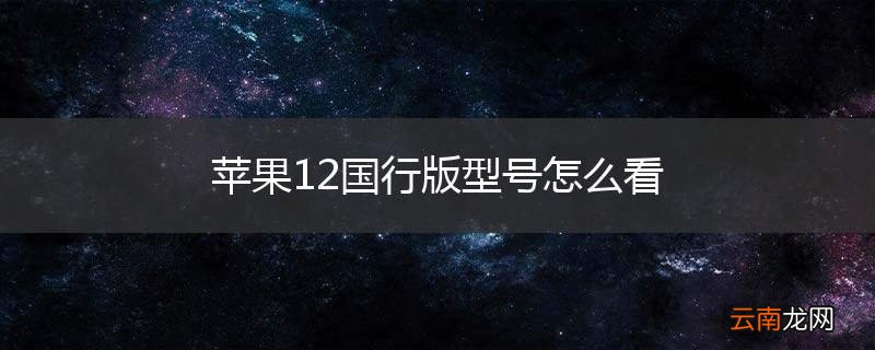苹果12国行版型号怎么看