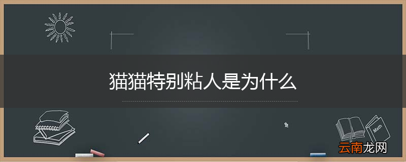 猫猫特别粘人是为什么