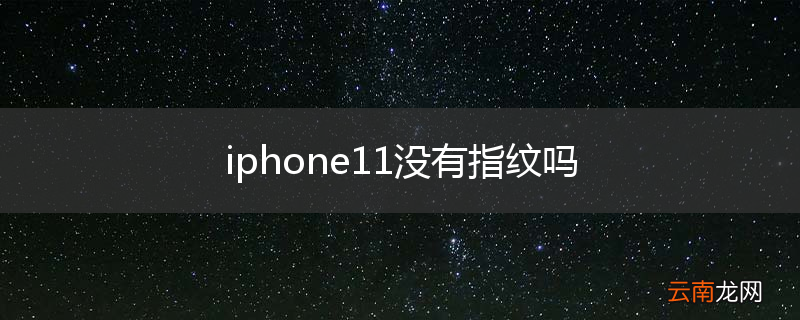 iphone11没有指纹吗