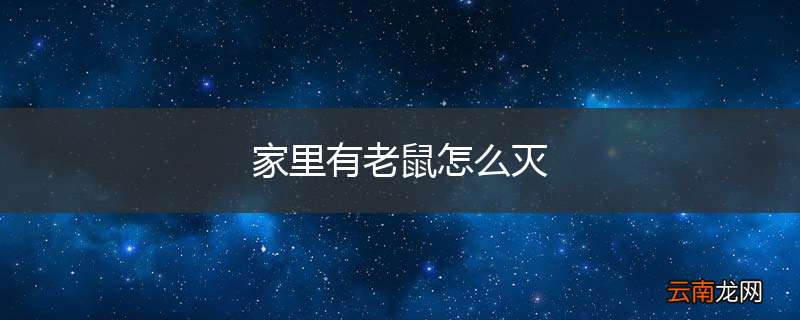 家里有老鼠怎么灭