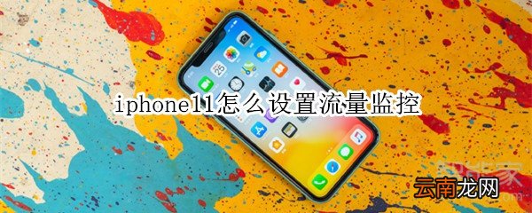 iphone11怎么设置流量监控