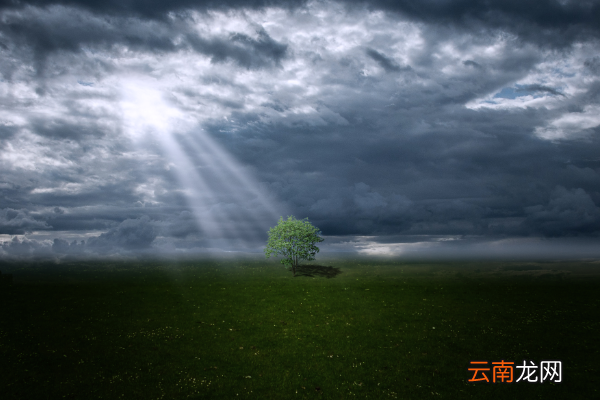 山雨欲来风满楼的哲理咸阳城东楼抒发的情感