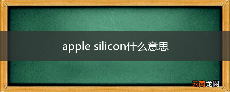 apple silicon什么意思