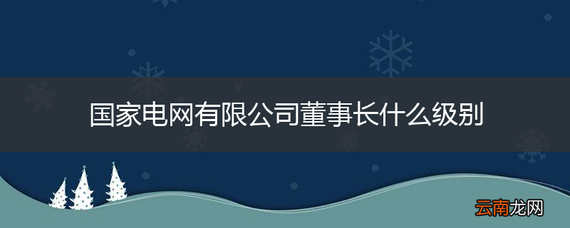 国家电网有限公司董事长什么级别