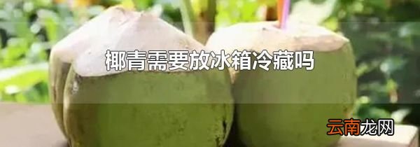 椰青需要放冰箱冷藏吗