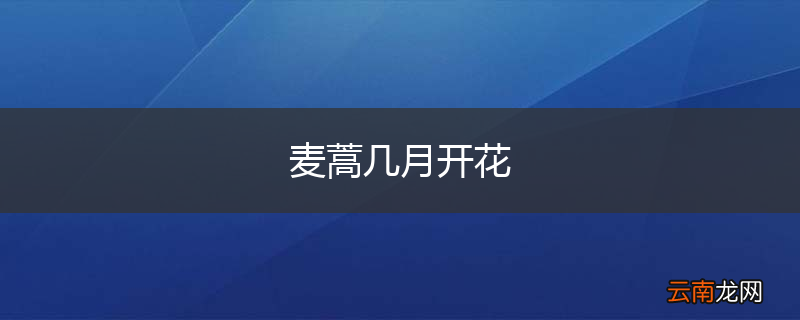 麦蒿几月开花