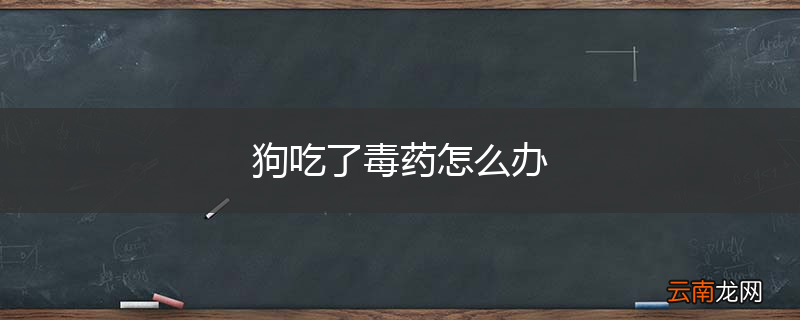 狗吃了毒药怎么办