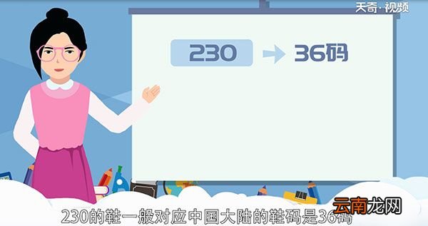 230是多少码