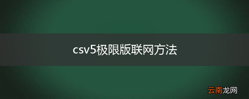 csv5极限版联网方法