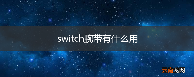 switch腕带有什么用