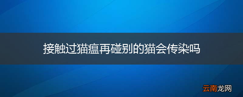 接触过猫瘟再碰别的猫会传染吗