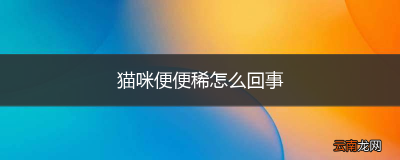 猫咪便便稀怎么回事