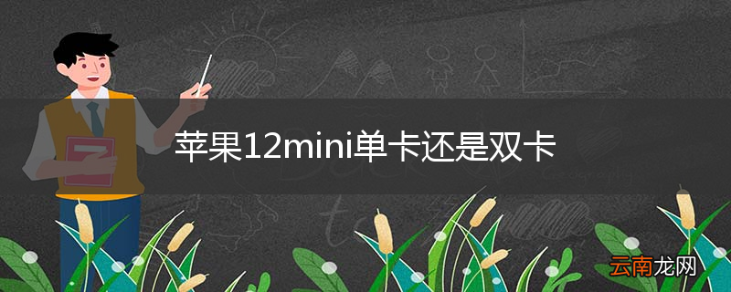 苹果12mini单卡还是双卡