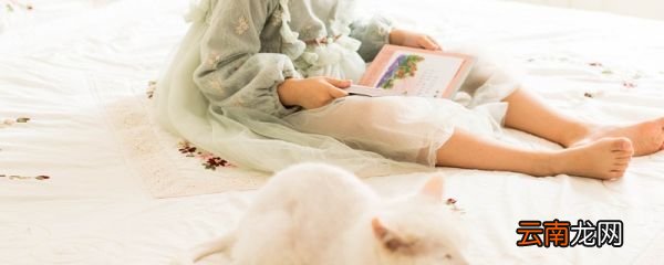 声母有多少个韵母有多少个 声母有多少个韵母有多少个单韵母有多少个
