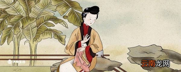 寻寻觅觅冷冷清清凄凄惨惨戚戚赏析 声声慢的赏析及背景