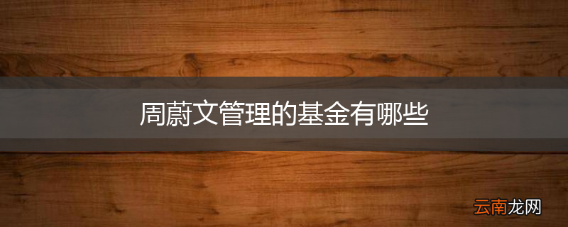 周蔚文管理的基金有哪些