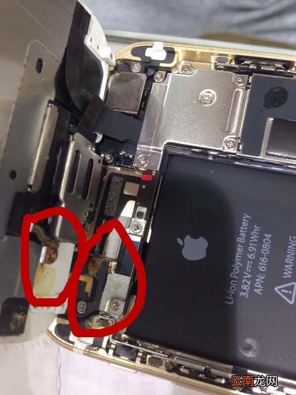 iphone6s掉水里怎么办?iphone6s掉入水中的处理方法