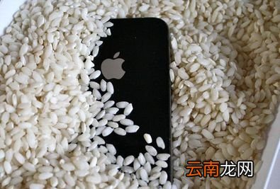 iphone6s掉水里怎么办?iphone6s掉入水中的处理方法