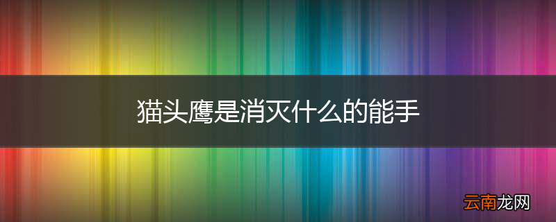 猫头鹰是消灭什么的能手