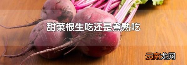 甜菜根生吃还是煮熟吃