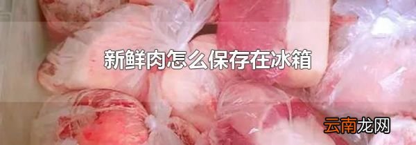 新鲜肉怎么保存在冰箱