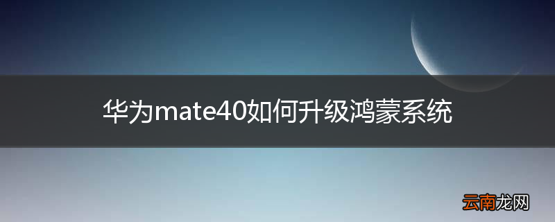华为mate40如何升级鸿蒙系统