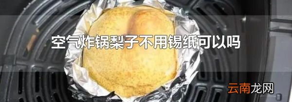 空气炸锅梨子不用锡纸可以吗
